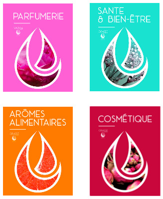 4-filieres-expertise-Grasse Expertise-parfumerie-aromes-sante-cosmetique