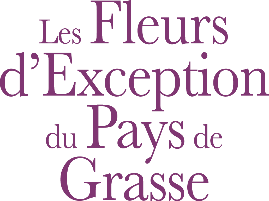 Fleurs d'exception du pays de Grasse