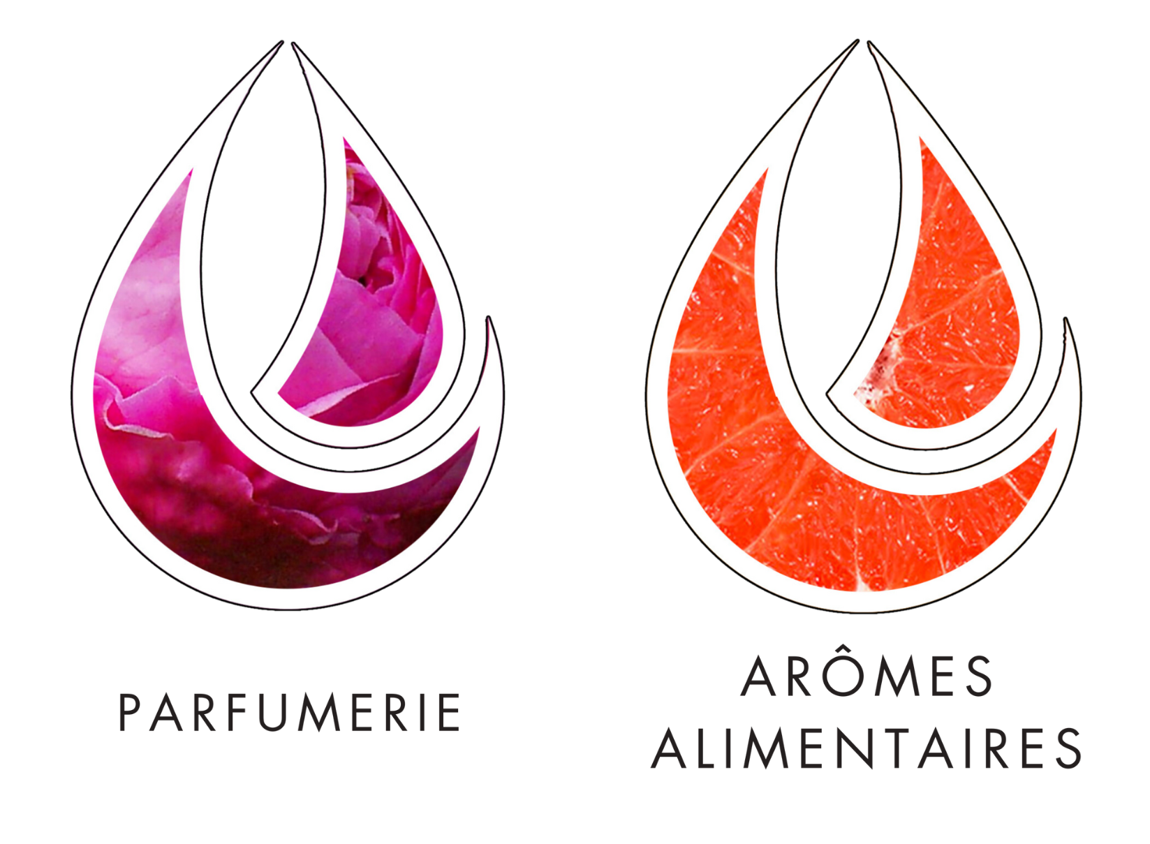 4-filieres-expertise-Grasse Expertise-parfumerie-aromes-sante-cosmetique