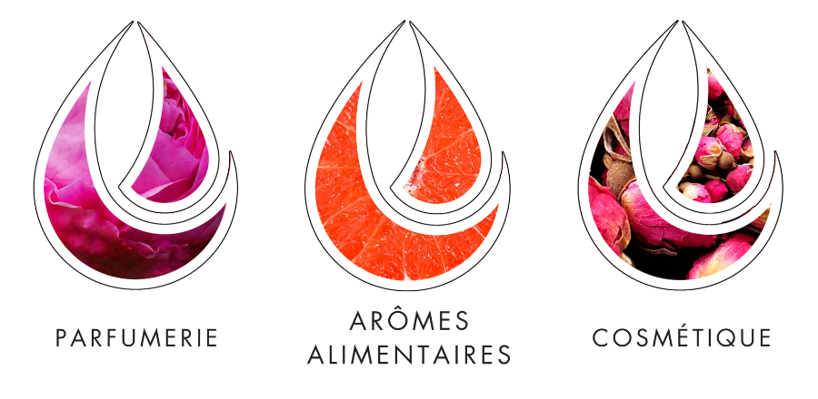 filiere expertise parfumerie